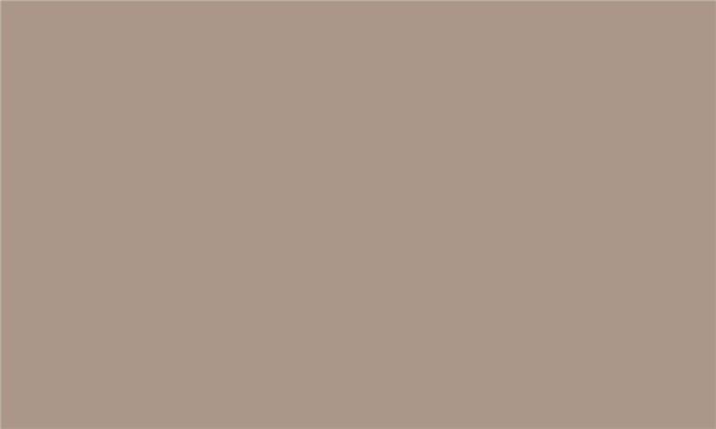 IDEA PET Matt MT-072 iS Tamarind 2800 x 1300 x 18 0