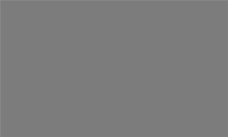 IDEA PET Matt MT-081 iS Silver Dust 2800 x 1300 x 18 0