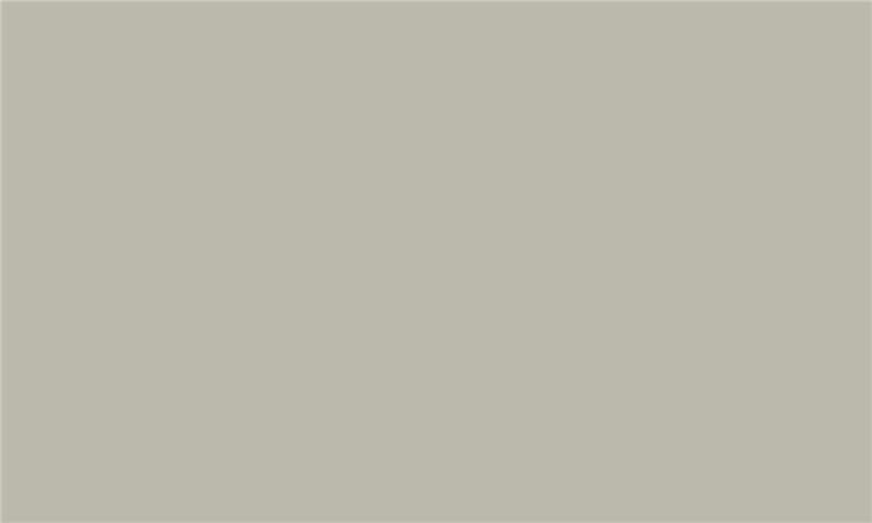 IDEA PET Matt MT-06 iS Latte 2800 x 1300 x 18 0