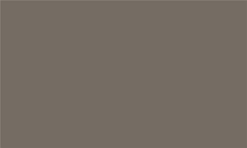 IDEA PET Matt MT-09 iS Grey taupe 2800 x 1300 x 18 0