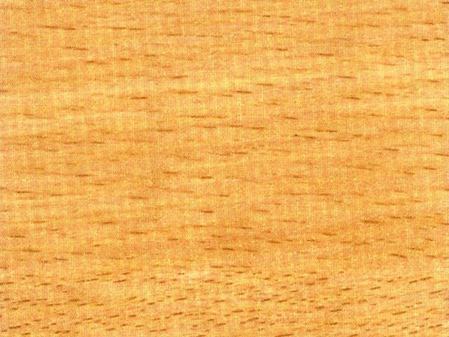 LAMINÁT TÁBLA 44 CE BÜKK 4200x1300x0,7mm BÜKK 0