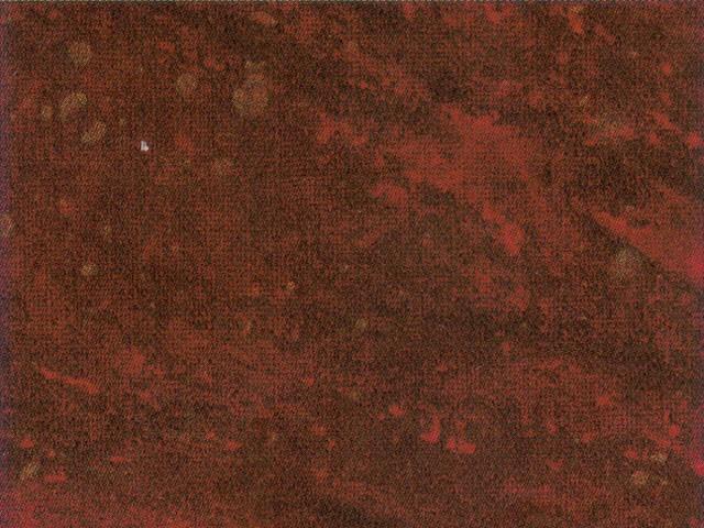 LAMINÁT TÁBLA 576 GL MARMO BORDO 4200x1300mm BORDÓ 0