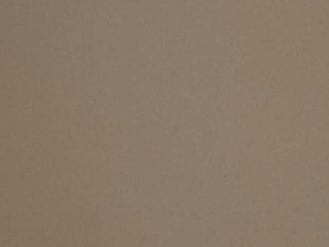 T_ LAMINÁT TÁBLA BRUNO GAZELLA 576 4200x1305x0,8mm BARNA 0